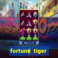 fortune tiger cassino pix